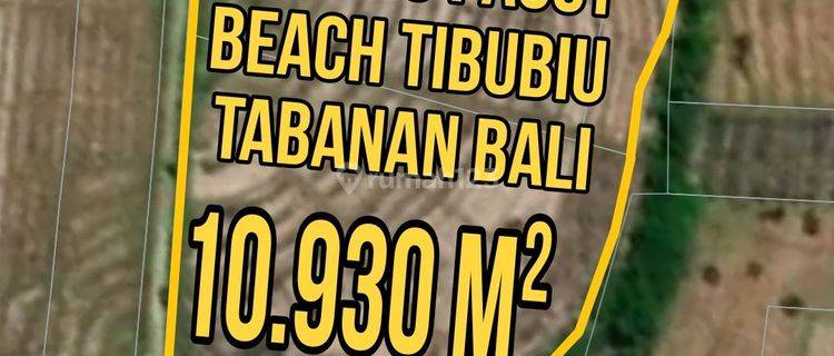 Leasehold Beachfront Sawang Pasut Beach Tibubiu Tabanan Bali 1