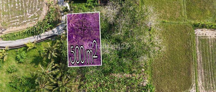 Small Plot Land Link Villa Tourism Zoning Singakerta Ubud Bali 1