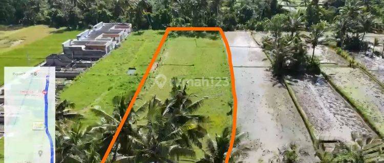 Prime Leasehold Land Near Empathy School Pejeng Kangin Ubud Bali 1