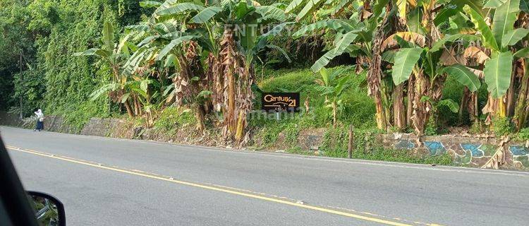 Di Jual Tanah Di Durian Patah Kota Ambon Manise  1