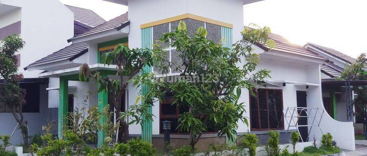 Rumah di Kalijaga, bale palinggihan regency Bagus 1