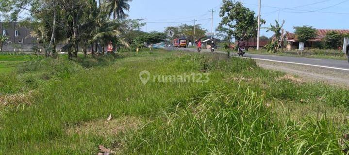 Tanah Luas 1.396 m2 Jalan Daendels Purworejo Jawa Tengah 1