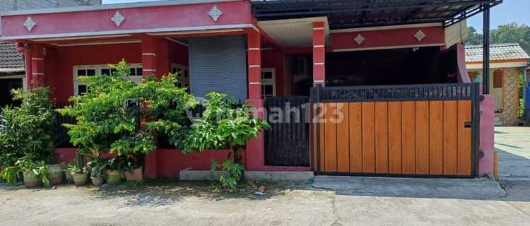 Nice 1-Story Freehold House in Pondok Damai Cileungsi 1