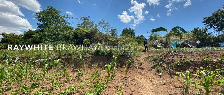 Tanah Luas Cocok untuk Kompleks Perumahan Area Serang  Banten 1