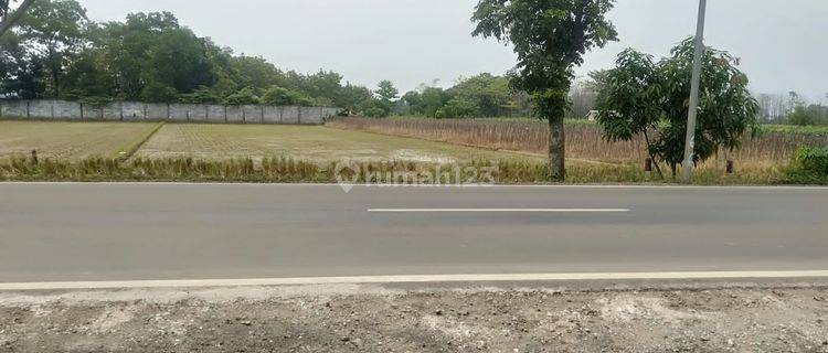 Tanah Murah SHM Mainroad Ujung Jaya, Tomo Sumedang Zona Industri 1