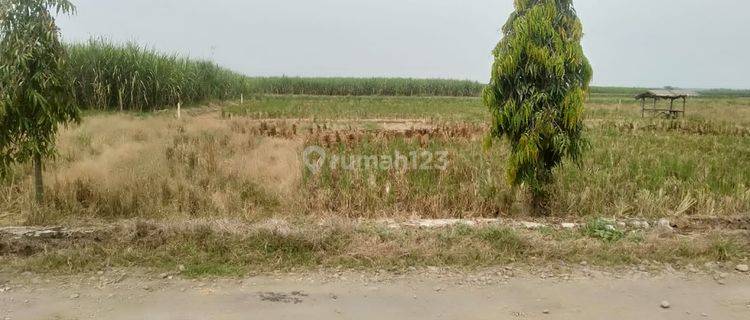 Murah Tanah SHM Mainroad Ujung Jaya Sumedang Lokasi Strategis 1