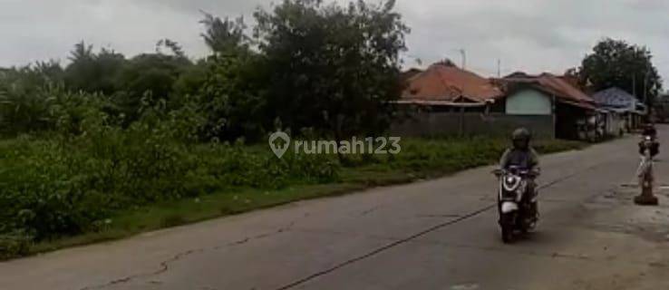 Tanah dekat pintu tol dan pergudangan kronjo balaraja tangerang riky 1