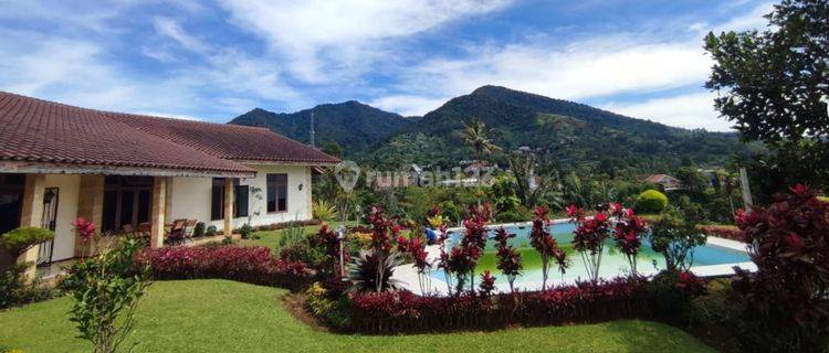 Villa Dijual Murah Melalui Lelang Di Cipanas 1