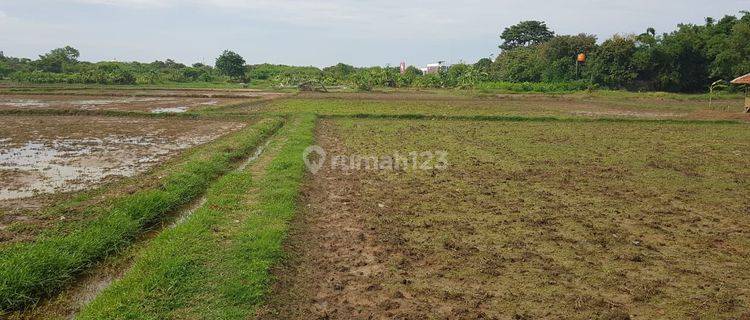 Kavling Komersial Karawang Barat sebrang Mal Transmart 1