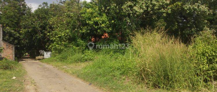 Tanah Kavling di Buntet Cirebon Timur:  Free Biaya AJB 1