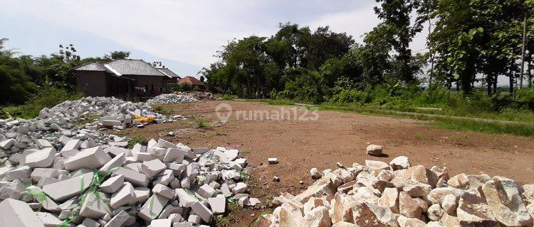 Tanah Kavling Pinggir Jalan 70 JT-an di Japura: Diskon 5 JT 1
