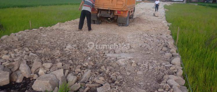 Dijual Tanah Kavling Murah Free Biaya AJB: di Sigong Lemahabang 1