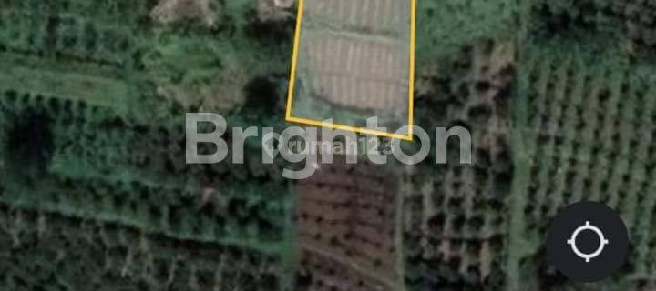 TANAH 895 M2 DI JL RAYA SEMPU, TEGALWERU, DAU, KAB MALANG 1