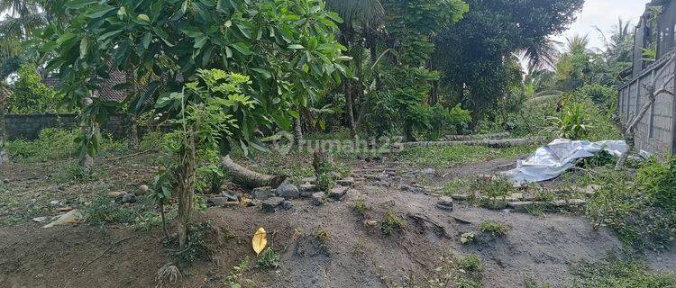  Dijual Tanah Loss Sungai Lokasi Samplangan Gianyar Bali, Cocok Untuk Perumahan 1