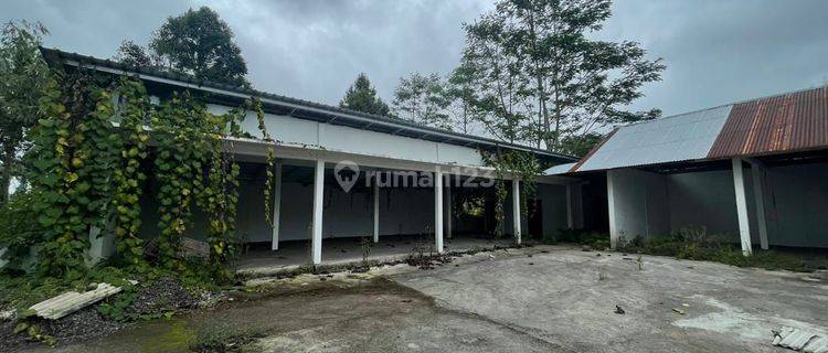 Dijual Tanah Bonus Bangunan Ruko Lantai 1 di Jalan Utama Provinsi Denpasar Singaraja  1