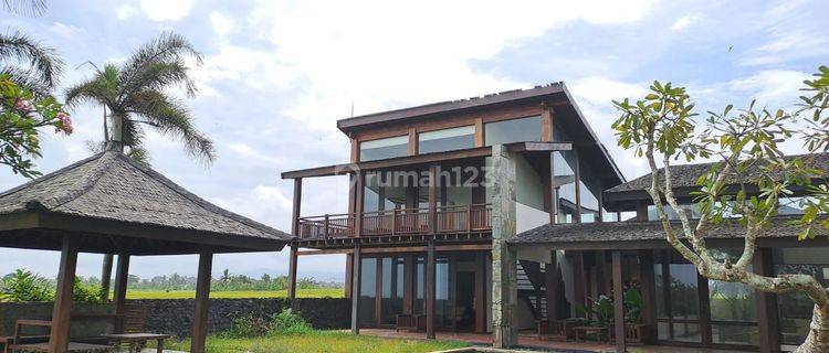 Cheap Villa for Sale Private Villa View of the Rice Fields on Beraban Beach Tabanan Bali Semi Furnished 1