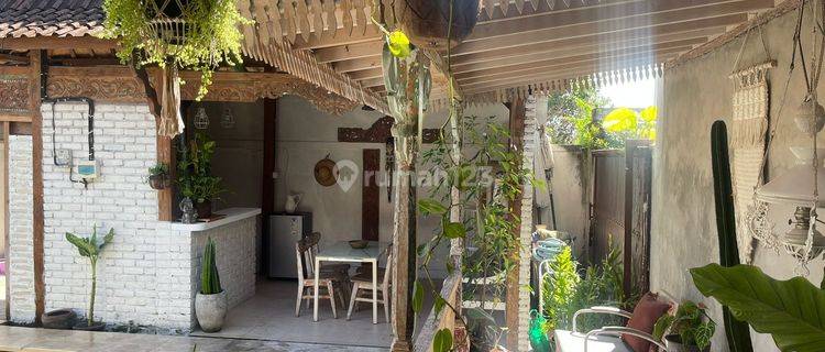 House For Sale Guest House At Kayu Tulang Utara Canggu Bali 1