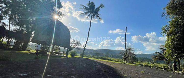 Land for sale Los Sungai, View Gunung, Bukit Sawah Terasering in Karangasem Sediment 1