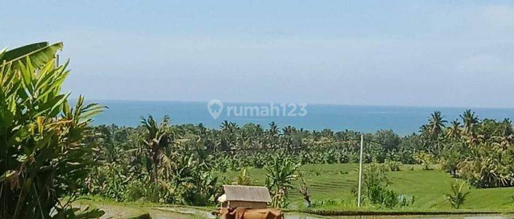 Dijual Tanah Sangat Eksotik Penuh Dengan Nuansa Keindahan View Sawah Dan Laut Pantai Soka Tabanan Bali 1