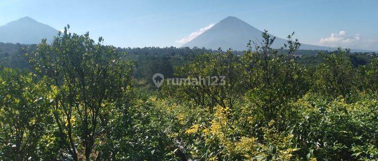 Dijual Tanah Bonus Bangunan Dan Ada Ijin Usaha di Jl Induk Sidemen Karangasem 1