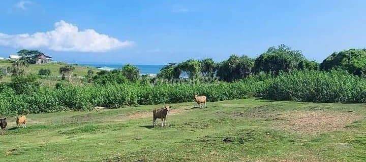 Dijual Lahan Langka Ocean View di Pantai Nyanyi Tabanan Bali 1