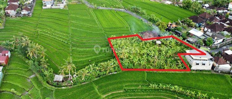 Dijual Tanah Strategis View Sawah di Kawasan Villa Turis di Jalan Tumbak Bayuh Canggu Kuta Utara. 1