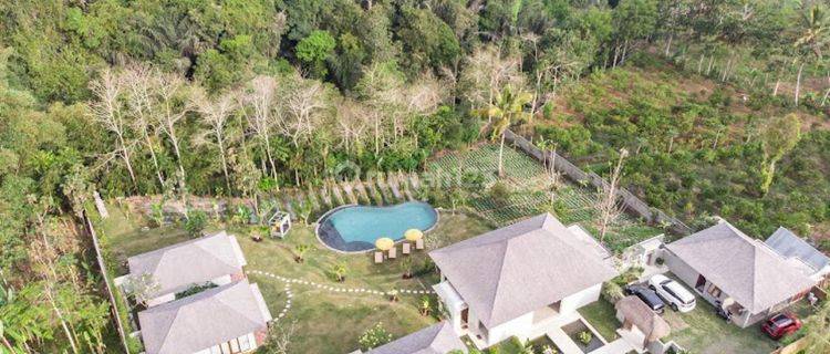 Villa for sale in the Payangan Ubud area, Gianyar, Bali 1