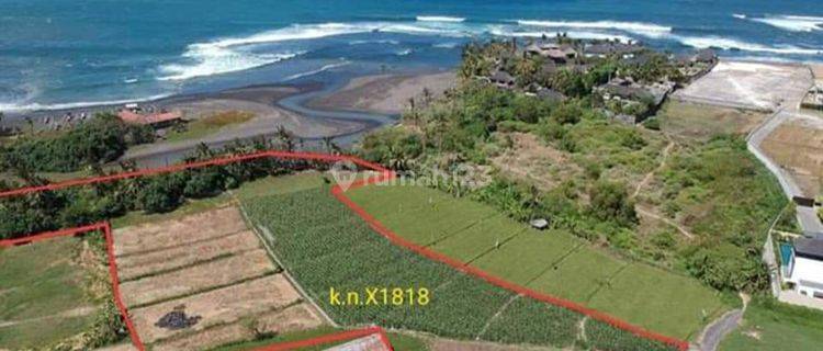 Dijual tanah murah sangat murah Di Gianyar Bali 1