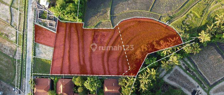 For Sale Freehold Land Tanah di Kedungu Super Langka, Good Invest 1