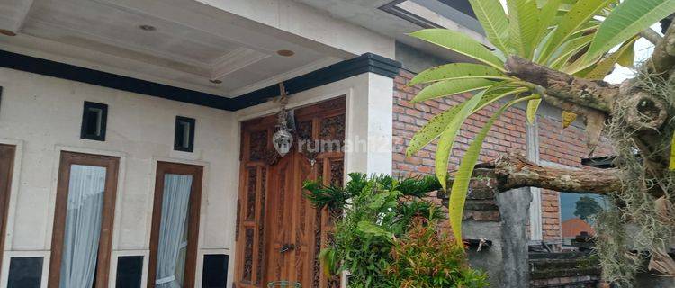 For Sale 2 Storey Semi Minimalist House + South Facing Shop 1