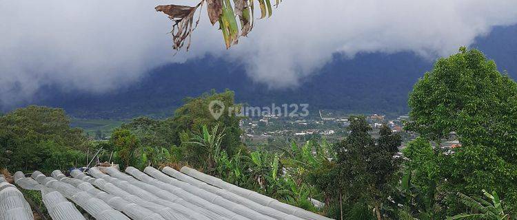 Dijual Tanah Hak Milik Premium di Lokasi Pancasari Bedugul Buleleng Bali. 1