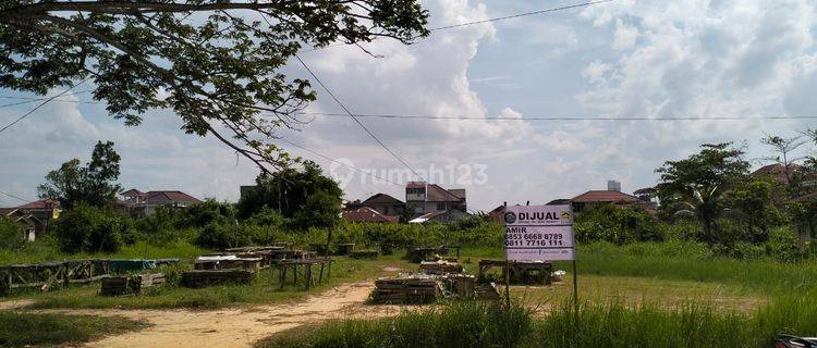 Tanah Tengah Kota Dijual di Jl. Todak Dekat Nangka Pekanbaru 1