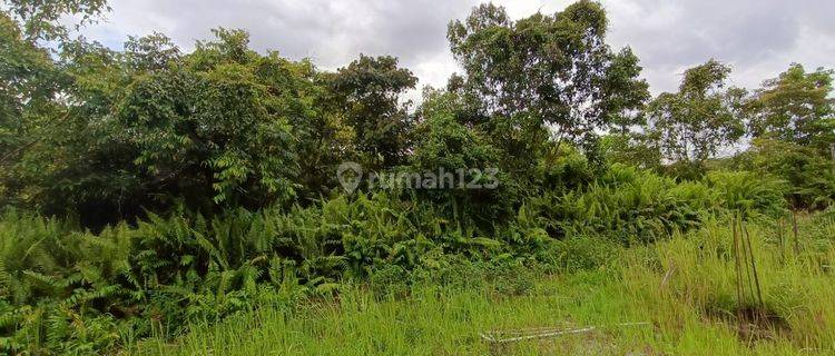 Tanah Kosong Tengah Kota Dijual di Jl Gulama Pekanbaru 1