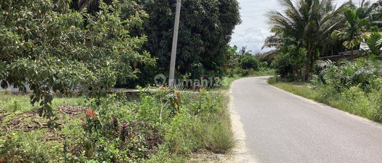 Tanah Kebun Sawit Dijual di Jl. Ikan Parang Rumbai 1