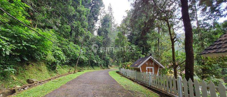 Villa Mewah Dalam Kawasan Seluas 250ha Lokasi Terdepan Di Puncak 1