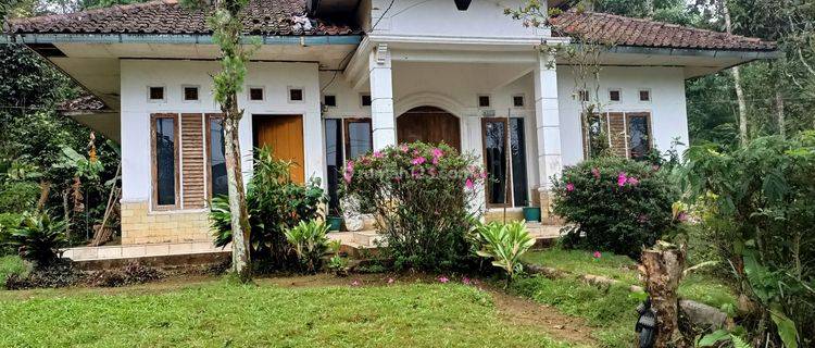 Jual Rumah beserta sawah, kebun di Pasirkuda Cianjur-selatan , dekat dng wisata Curug citambur 1