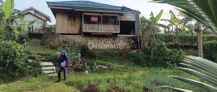 Rumah Kayu Jati Di Kp. Kemang, Cugenang – Investasi Nyaman & Prospektif! 1