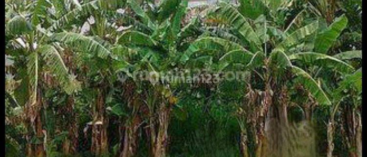 kavling di danau asri sunter hadap timur, Sunter, Jakarta Utara 1