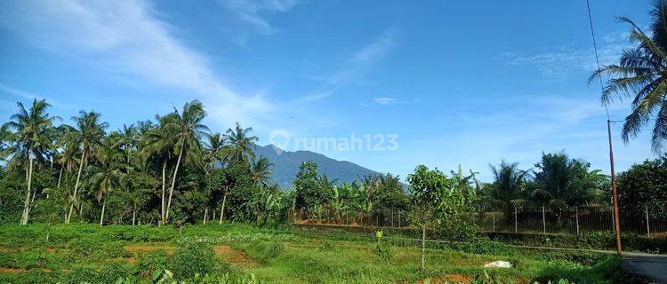Dijual Tanah Luas Dan Murah Lokasi Strategis Dengan Pemandangan Gunung Dekat Akses Tol 1