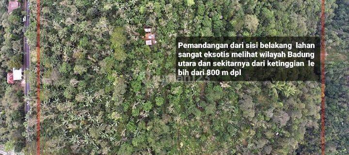 Tanah Sertifikat Hak Milik Area di Desa Catur Kintamani 1