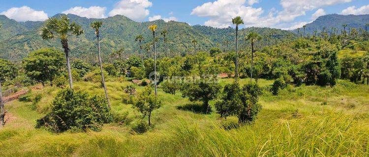 Hot List of Land for Sale in Villa Area, Amed Karang Asem Bali Location 1