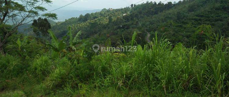 Hot List Di Jual Tanah Exotic View Lembah Dan Laut Lokasi Munduk Tamblingan Buleleng 1