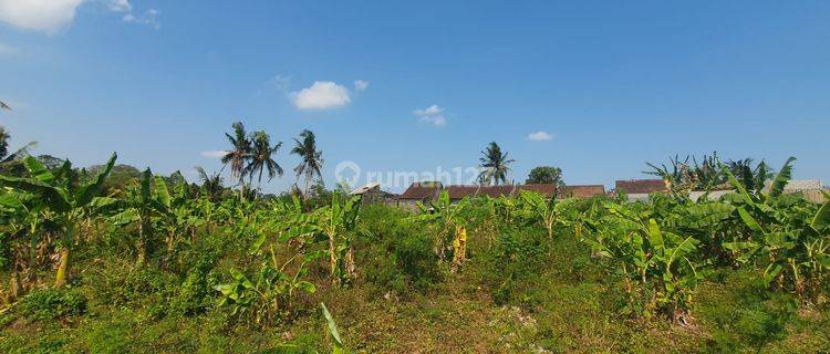 Hot List Di Jual Tanah Lokasi Kedungu Tabanan 1