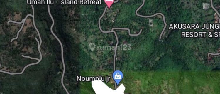 Hot List Di Jual Tanah Lokasi Ped Nusa Penida Klungkung 1