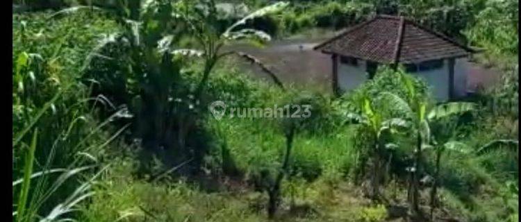 Hot List Di Jual Tanah Pinggir Jalan Utama Lokasi Jalan Penelokan Kintamani Bangli 1