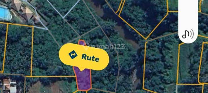 Hot List Di Jual Tanah Loss Sungai View Sungai Hutan Lokasi Sukawati Gianyar 1