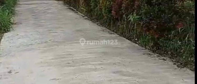 Hot List Di Jual Tanah View Bukit Lokasi Munduk Buleleng 1