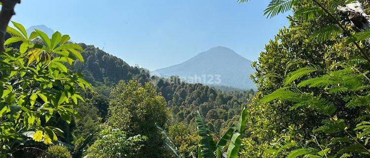 Hot List Di Jual Tanah View Gunung Lokasi Gesing Banjar Buleleng 1