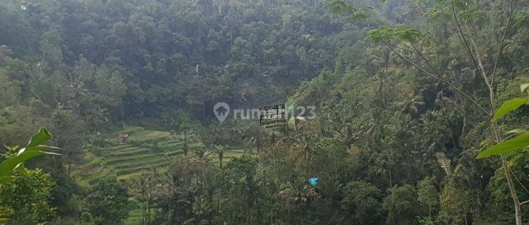 Hot List for Sale of Loss of River River View Land, Menanga Rendang Karangasem Location 1