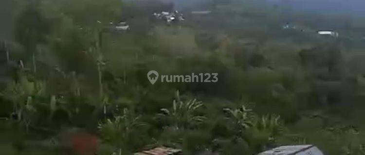 Hot List of land for sale with mountain views, hills, lake Caldera, Jalan Raya Penelokan Kedisan Kintamani Bangli 1